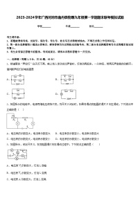 2023-2024学年广西河池市南丹县物理九年级第一学期期末联考模拟试题含答案