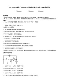 2023-2024学年广西陆川县九年级物理第一学期期末质量检测试题含答案