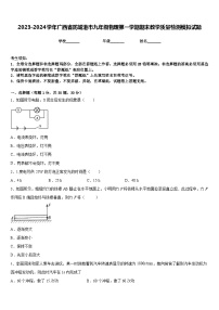 2023-2024学年广西省防城港市九年级物理第一学期期末教学质量检测模拟试题含答案