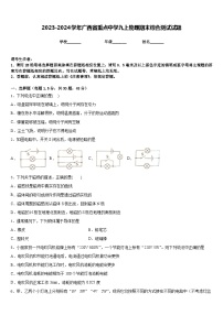 2023-2024学年广西省重点中学九上物理期末综合测试试题含答案