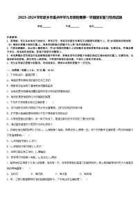 2023-2024学年新乡市重点中学九年级物理第一学期期末复习检测试题含答案