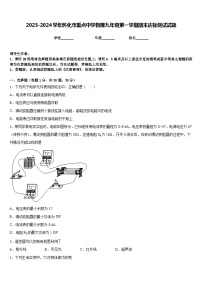 2023-2024学年怀化市重点中学物理九年级第一学期期末达标测试试题含答案