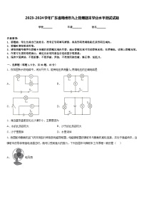 2023-2024学年广东省梅州市九上物理期末学业水平测试试题含答案