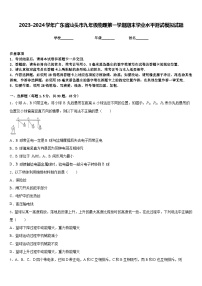 2023-2024学年广东省汕头市九年级物理第一学期期末学业水平测试模拟试题含答案