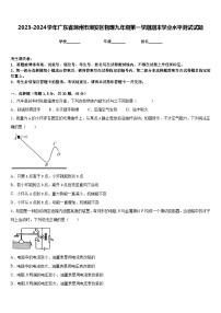 2023-2024学年广东省潮州市潮安区物理九年级第一学期期末学业水平测试试题含答案