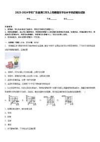 2023-2024学年广东省湛江市九上物理期末学业水平测试模拟试题含答案