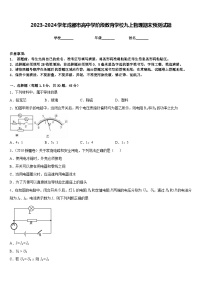 2023-2024学年成都市高中学阶段教育学校九上物理期末预测试题含答案