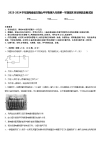 2023-2024学年期海南省五指山中学物理九年级第一学期期末质量跟踪监视试题含答案