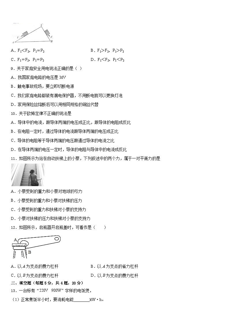 2023-2024学年新余市重点中学九年级物理第一学期期末复习检测试题含答案第3页