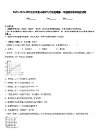 2023-2024学年新余市重点中学九年级物理第一学期期末联考模拟试题含答案