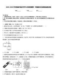 2023-2024学年楚雄市重点中学九年级物理第一学期期末质量跟踪监视试题含答案