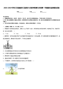 2023-2024学年江苏省南京江北新区七校联考物理九年级第一学期期末监测模拟试题含答案