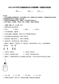 2023-2024学年江苏省南京溧水区九年级物理第一学期期末检测试题含答案