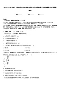 2023-2024学年江苏省南京市六合区部分学校九年级物理第一学期期末复习检测模拟试题含答案