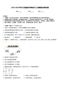 2023-2024学年江苏省南京市栖霞区九上物理期末调研试题含答案