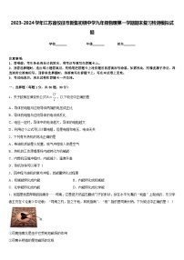 2023-2024学年江苏省仪征市新集初级中学九年级物理第一学期期末复习检测模拟试题含答案