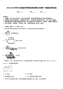 2023-2024学年江苏省南京市秦淮区四校物理九年级第一学期期末预测试题含答案