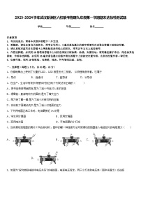 2023-2024学年武汉新洲区六校联考物理九年级第一学期期末达标检测试题含答案