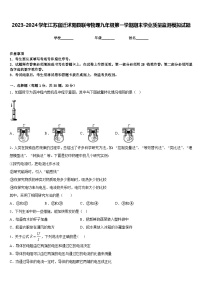 2023-2024学年江苏宿迁沭阳县联考物理九年级第一学期期末学业质量监测模拟试题含答案