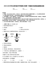 2023-2024学年永州市重点中学物理九年级第一学期期末质量跟踪监视模拟试题含答案