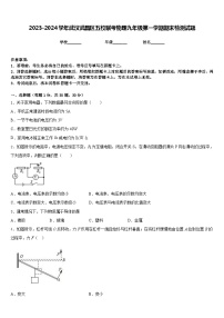 2023-2024学年武汉武昌区五校联考物理九年级第一学期期末检测试题含答案