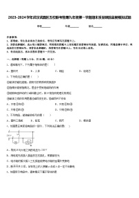 2023-2024学年武汉武昌区五校联考物理九年级第一学期期末质量跟踪监视模拟试题含答案