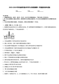 2023-2024学年梧州市重点中学九年级物理第一学期期末联考试题含答案