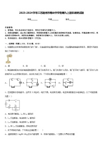 2023-2024学年江苏扬州市梅岭中学物理九上期末调研试题含答案