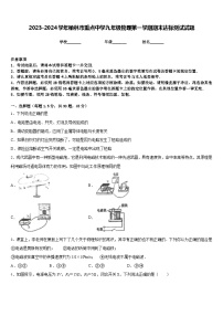 2023-2024学年榆林市重点中学九年级物理第一学期期末达标测试试题含答案