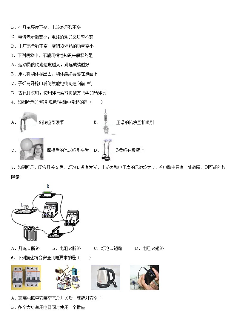 2023-2024学年江苏省大丰市实验初级中学九年级物理第一学期期末检测模拟试题含答案02