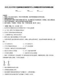 2023-2024学年江苏省姜堰区张甸初级中学九上物理期末教学质量检测模拟试题含答案