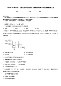 2023-2024学年江苏省句容市后白中学九年级物理第一学期期末统考试题含答案