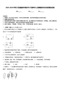 2023-2024学年江苏省南通市海安市十校联考九上物理期末综合测试模拟试题含答案