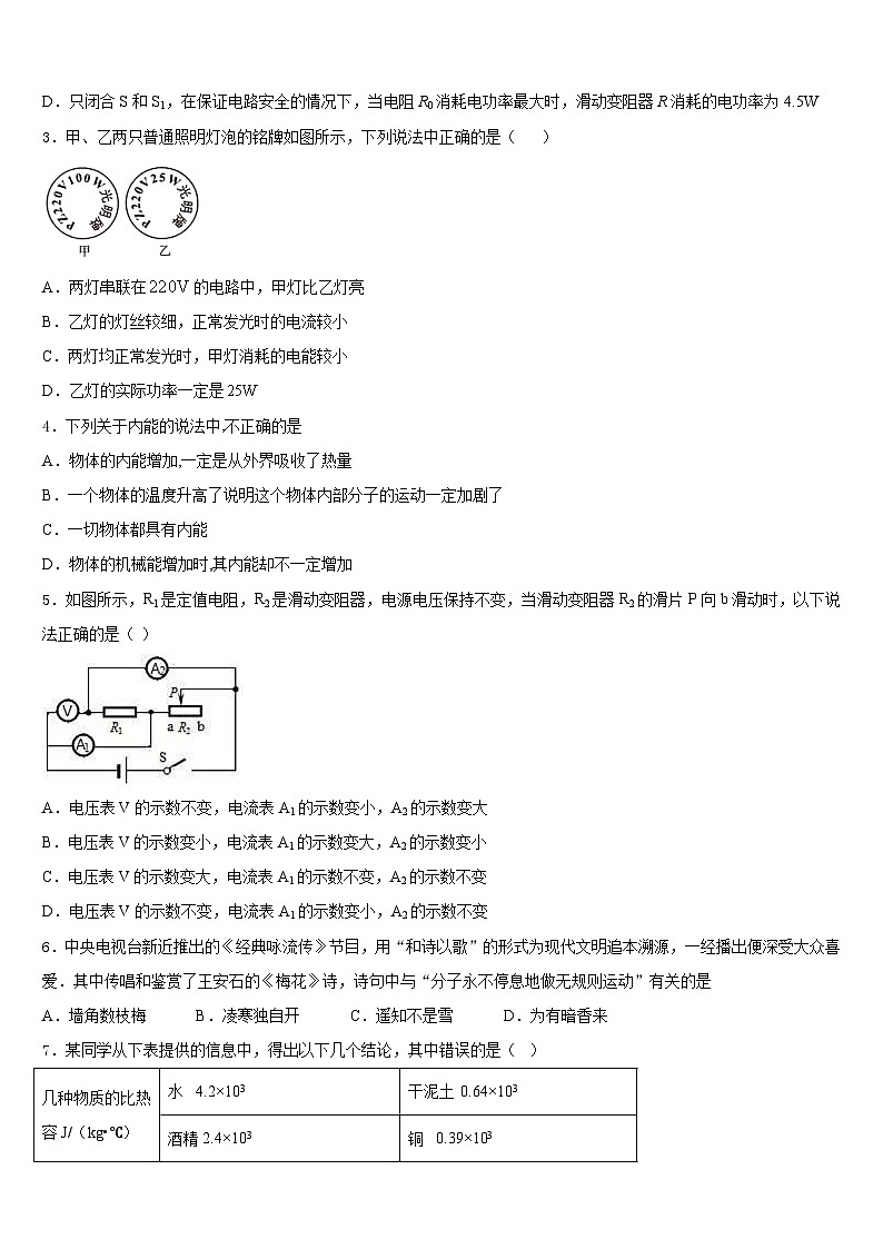 2023-2024学年江苏省启东市天汾初级中学九年级物理第一学期期末学业质量监测试题含答案02