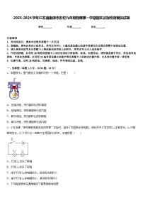 2023-2024学年江苏省南通市名校九年级物理第一学期期末达标检测模拟试题含答案