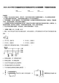 2023-2024学年江苏省南通市启东市滨海实验学校九年级物理第一学期期末预测试题含答案