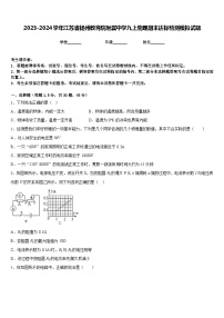 2023-2024学年江苏省扬州教育院附属中学九上物理期末达标检测模拟试题含答案