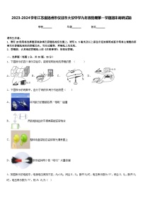 2023-2024学年江苏省扬州市仪征市大仪中学九年级物理第一学期期末调研试题含答案