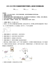 2023-2024学年江苏省扬州市翠岗中学物理九上期末复习检测模拟试题含答案