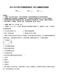 2023-2024学年江苏省扬州市部分区、县九上物理期末检测试题含答案