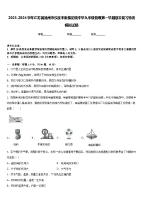 2023-2024学年江苏省扬州市仪征市新集初级中学九年级物理第一学期期末复习检测模拟试题含答案