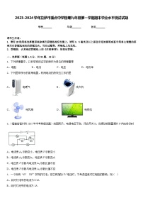 2023-2024学年拉萨市重点中学物理九年级第一学期期末学业水平测试试题含答案