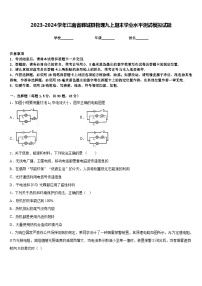 2023-2024学年江南省郸城县物理九上期末学业水平测试模拟试题含答案