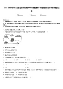 2023-2024学年江苏省无锡市刘潭中学九年级物理第一学期期末学业水平测试模拟试题含答案