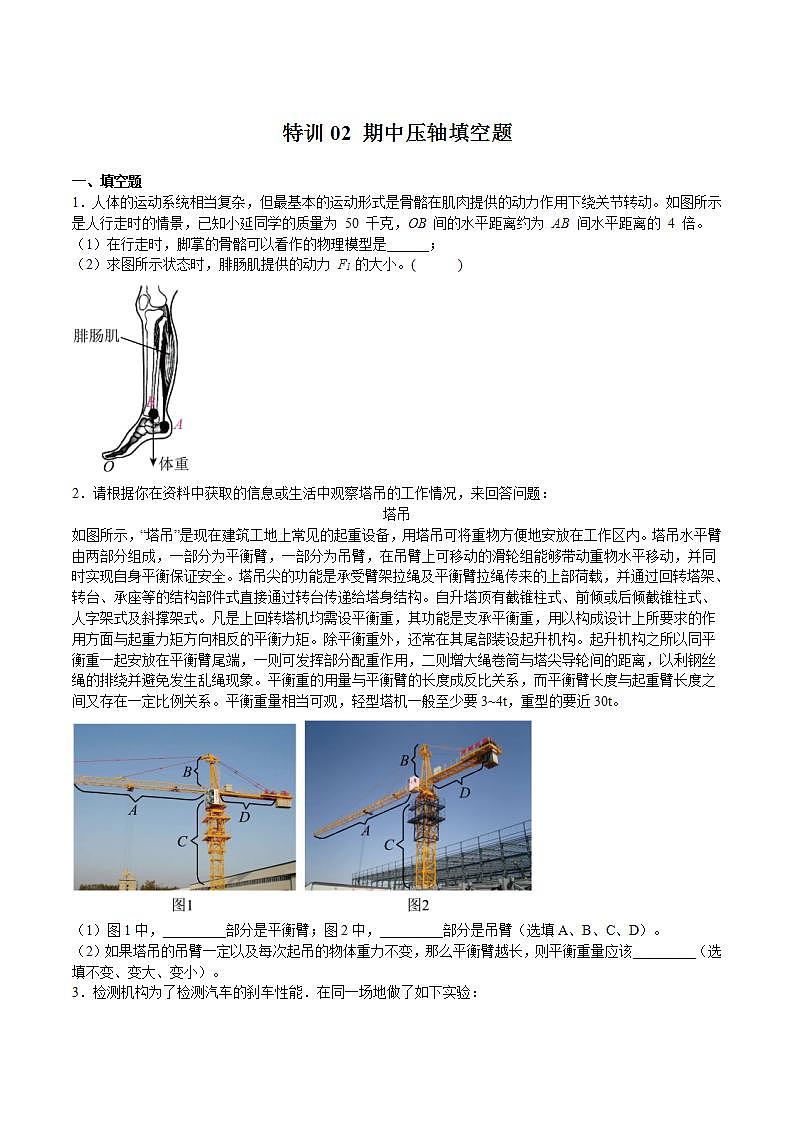 特训02 期中压轴填空题（原卷版）第1页