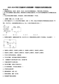 2023-2024学年江苏省联考九年级物理第一学期期末质量检测模拟试题