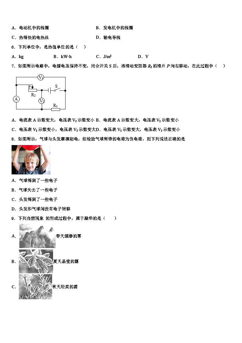 2023-2024学年江苏省物理九年级第一学期期末质量跟踪监视模拟试题02