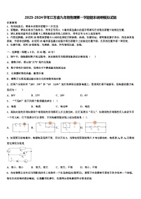 2023-2024学年江苏省九年级物理第一学期期末调研模拟试题