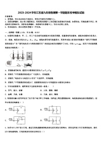 2023-2024学年江苏省九年级物理第一学期期末统考模拟试题