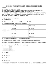 2023-2024学年江苏省九年级物理第一学期期末质量跟踪监视模拟试题